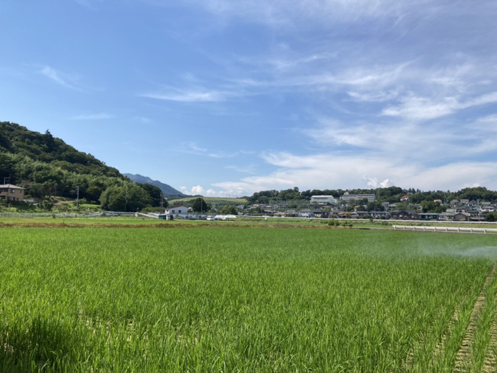 水も空気も綺麗な土地で生産