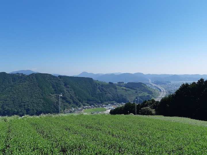 生産者のこだわり