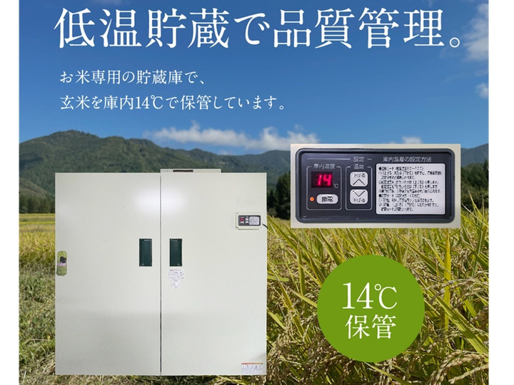 【あす楽対応】 便利 で 鮮度 長持ち！ 令和6年度 無洗米 山形県産 米・雑穀・粉類