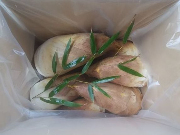 商品検索 - 筍農家 京たけのこ 専門店