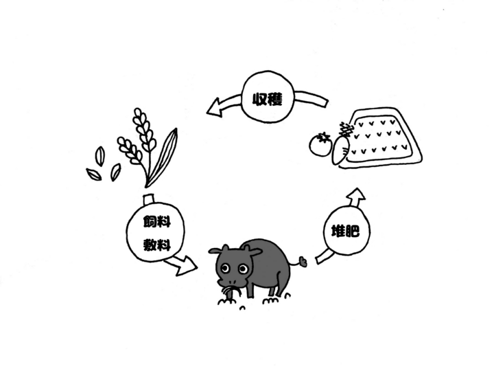 生産者のこだわり