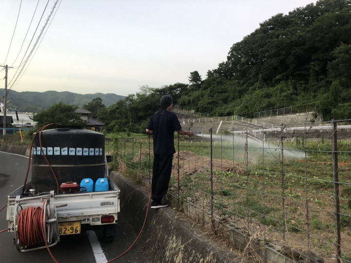 生産者のこだわり