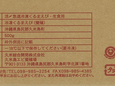 活〆急速冷凍車海老【500g/20-24尾】沖縄久米島のプリっと鮮度抜群【沖縄久米島ブランド車海老】【大サイズ/約15cm】【真空パック】【お刺身可】【専用化粧箱】【熨斗対応可】【ギフト】