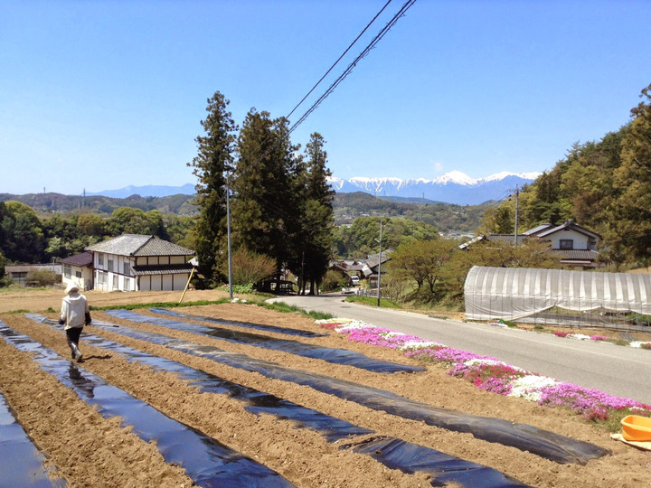 農薬・化学肥料を使わないシンプルな農業