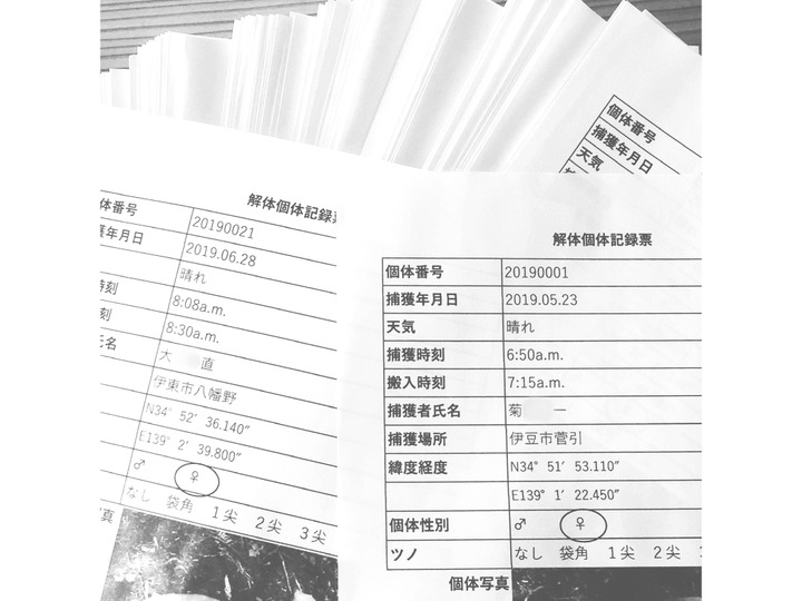 安心!