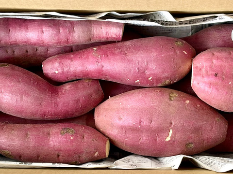 訳ありでも甘くねっとり！「紅はるか」色々なサイズ入り 3キロ箱