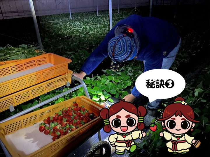 生産者のこだわり