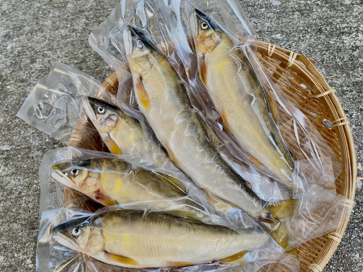 即茹で真空包装】たけのこ 水煮1kg:高知県産の加工品|食べ 即茹で真空包装】たけのこ 水煮1kg:高知県産の加工品|食べ