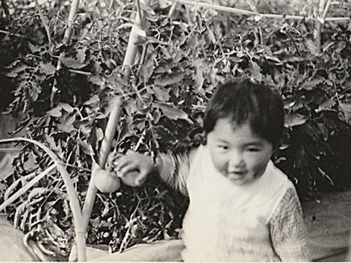 生まれた時からトマトと共に