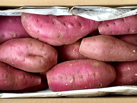 訳ありでもホクホクむっちり！「栗かぐや」色々なサイズ入り 3キロ箱