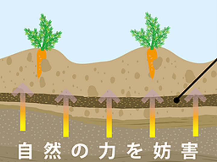 生産者のこだわり