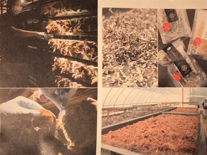 純国産 栽培期間中は農薬不使用・無化学肥料です。安心して毎日のお料理にどうぞ
