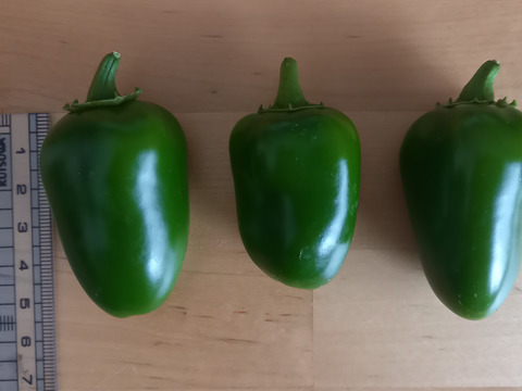 ハラペーニョ300g