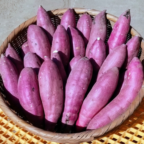 後藤農園