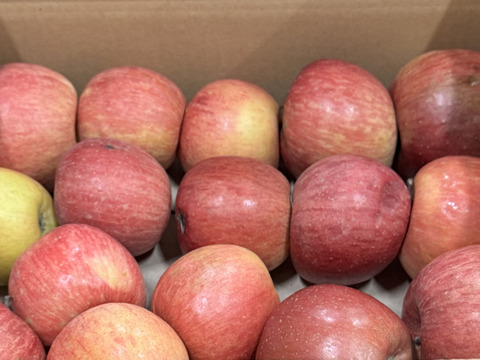 ★残りわずか★葉とらずサンふじ🍎訳ありバラ詰め 約３Kg　青森県産