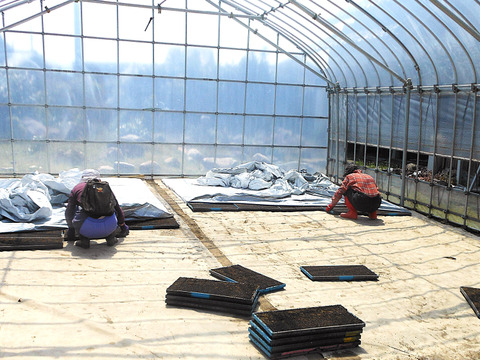 新潟県産のお米・【新之助】と岐阜県生まれのお米で【縁結び】の合計5袋で4.3㎏です