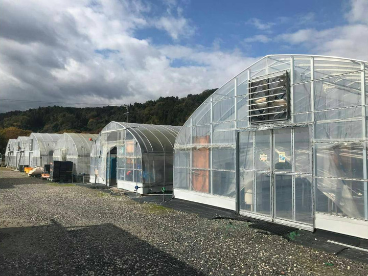 生産者のこだわり