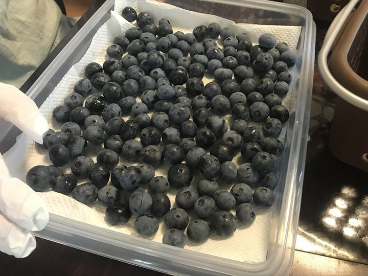 生果実は、当日収穫当日発送で新鮮をお届け