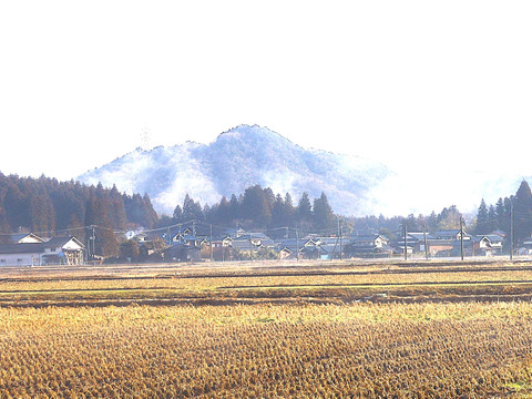 新潟産【こしひかり】1㎏×2袋と【新之助】1㎏×1袋と【恋の予感】1㎏×1袋の3品種で4袋と【縁結び】300ｇ×1袋と【ひとめぼれ】300ｇ×1袋の合計6袋での4.6㎏です