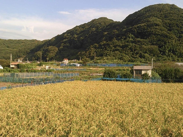 生産者のこだわり