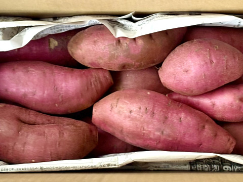 訳ありでもホクホクむっちり！「栗かぐや」色々なサイズ入り 3キロ箱