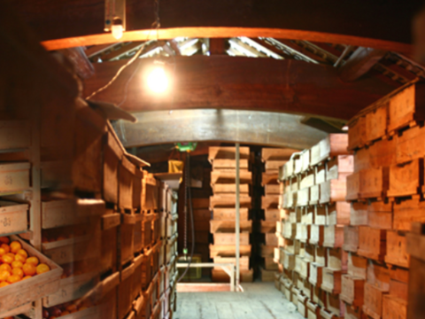 【本場・下津蔵出しみかん】土壁蔵で木箱仕込みし寝かせた熟成みかん｜農家直送