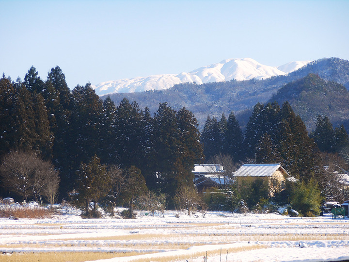 遠くに連なる緑り豊かな山々と初夏の水田地帯に【こしひかり】や【新之助】と【恋の予感】や【縁結び】と【ひとめぼれ】と【こがねもち】などの7品種を栽培しています