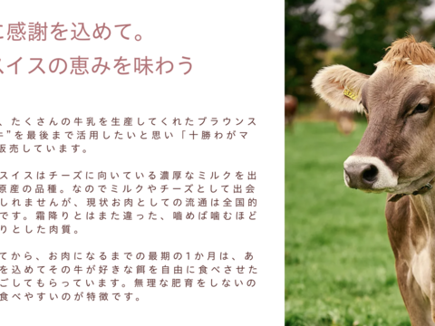 【夏ギフト】《今だけ300円引き✨》家族みんなで分けて食べれるファミリーサイズ(800ml) 2個と、冷凍のまま焼けるハンバーグ3個セット！