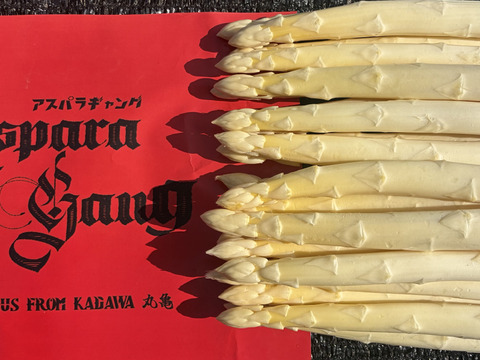 香川県産ホワイトアスパラ　Lサイズ1キロ「さぬきのめざめ」