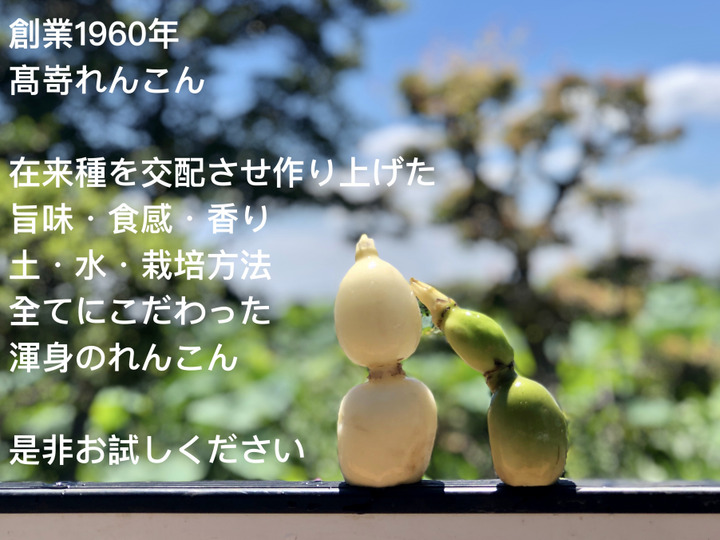 品種の選定