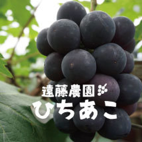 遠藤農園 ひちあこ