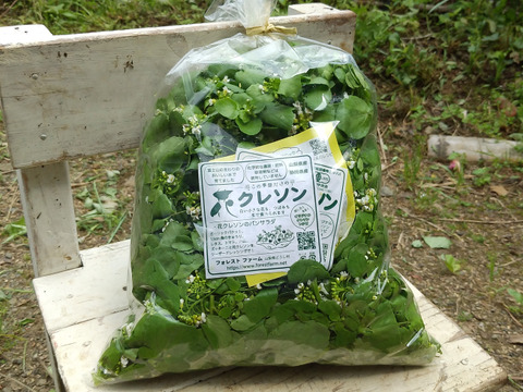 【有機認証クレソン100％】今だけの　花たっぷり詰め込みクレソン　～サラダに彩り大袋500g×4P～