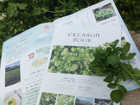 【有機認証クレソン100％】今だけの　花たっぷり詰め込みクレソン　～サラダに彩り大袋500g×3P～