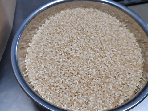 農薬・肥料不使用　はざ掛け天日干し玄米2㎏×3品種食べ比べセット