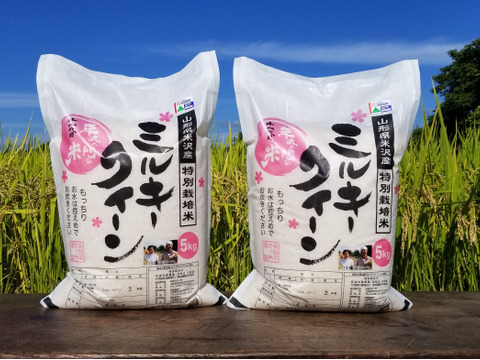 令和5年産　特別栽培米ミルキークイーン精白米5㎏×2袋