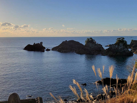 【販売終了】からっと乾いた『砂地』で育った南国高知のミニトマト♪ 1㎏