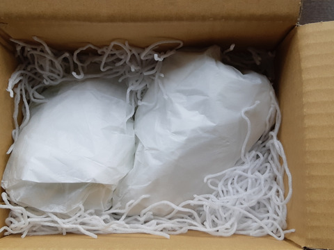 ぶどうグランプリmacaroni賞　ご家庭用　朝採りシャインマスカット(３～５房２kg以上)