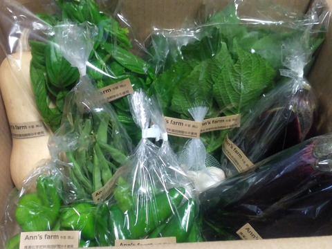 爆買いしたい 旬の野菜セット(8~10品)：岡山県産の野菜セット｜食べチョク 野菜