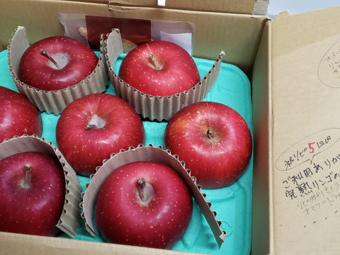 【蜜入保証】【サンふじ】（2kg・9～10個入り）パリパリ・ジューシーお得な家庭用