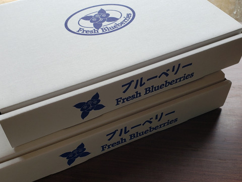 【贈答用】摘みたて　農薬不使用　千葉県産　生ブルーベリー　100g×6パック　2セット　1,2kg
