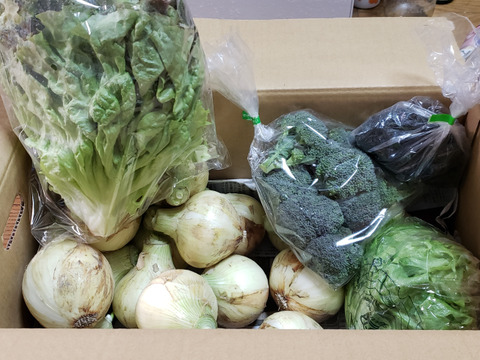 大好評，地層が違う淡路島、訳あり新玉ねぎスーパーアップ３キロ(風袋込み)