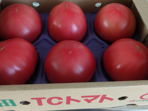 TCトマト　大　2キロ　(6～8個入)