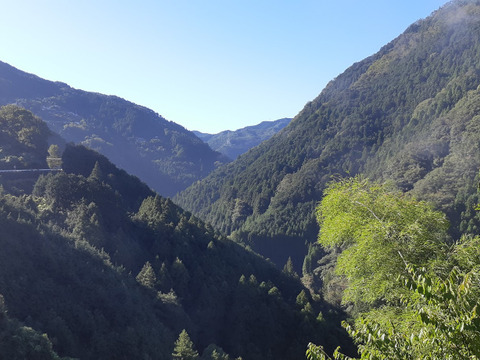 【ｸﾘｯｸﾎﾟｽﾄ対応】土用の丑・さわやかな柑橘の香り　石臼挽き粉山椒（青）３０グラム
