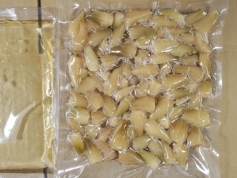 【訳あり】1年間らっきょ酢に漬けこんだ青色らっきょうさんの漬物500g 長崎県産