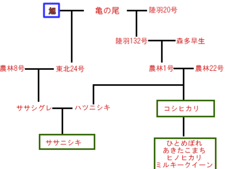 生産者のこだわり