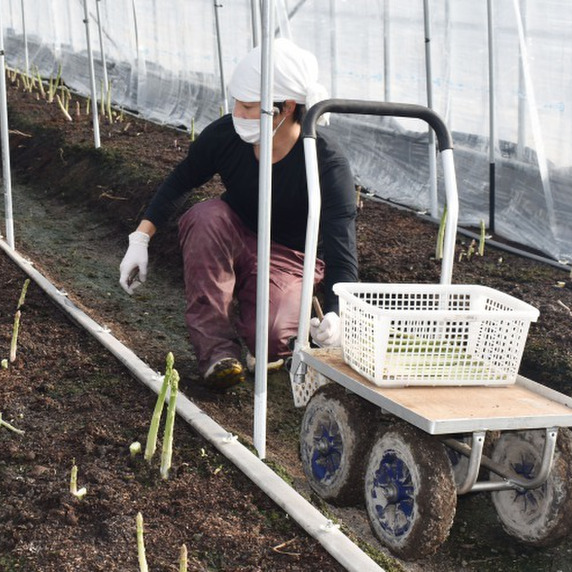 サノグリーンファーム