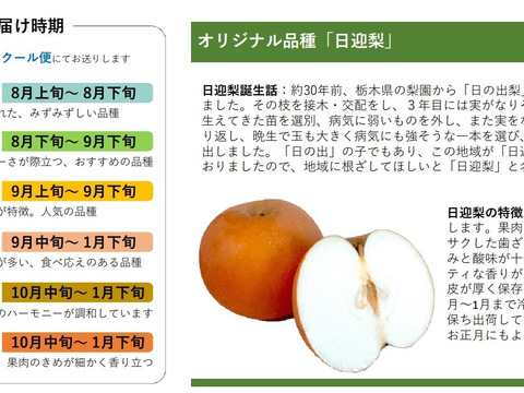 日迎梨：家庭用　林農園オリジナル品種 約2.5kg(4～7玉)