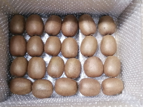 農薬不使用！緑キウイ「ヘイワード」2kg