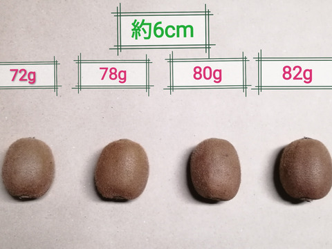 農薬不使用！"小ぶりサイズ"緑キウイ「ヘイワード」2kg