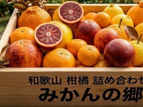 樹上完熟！オマケ付　春柑橘よくばりセット4.8kg(箱込）